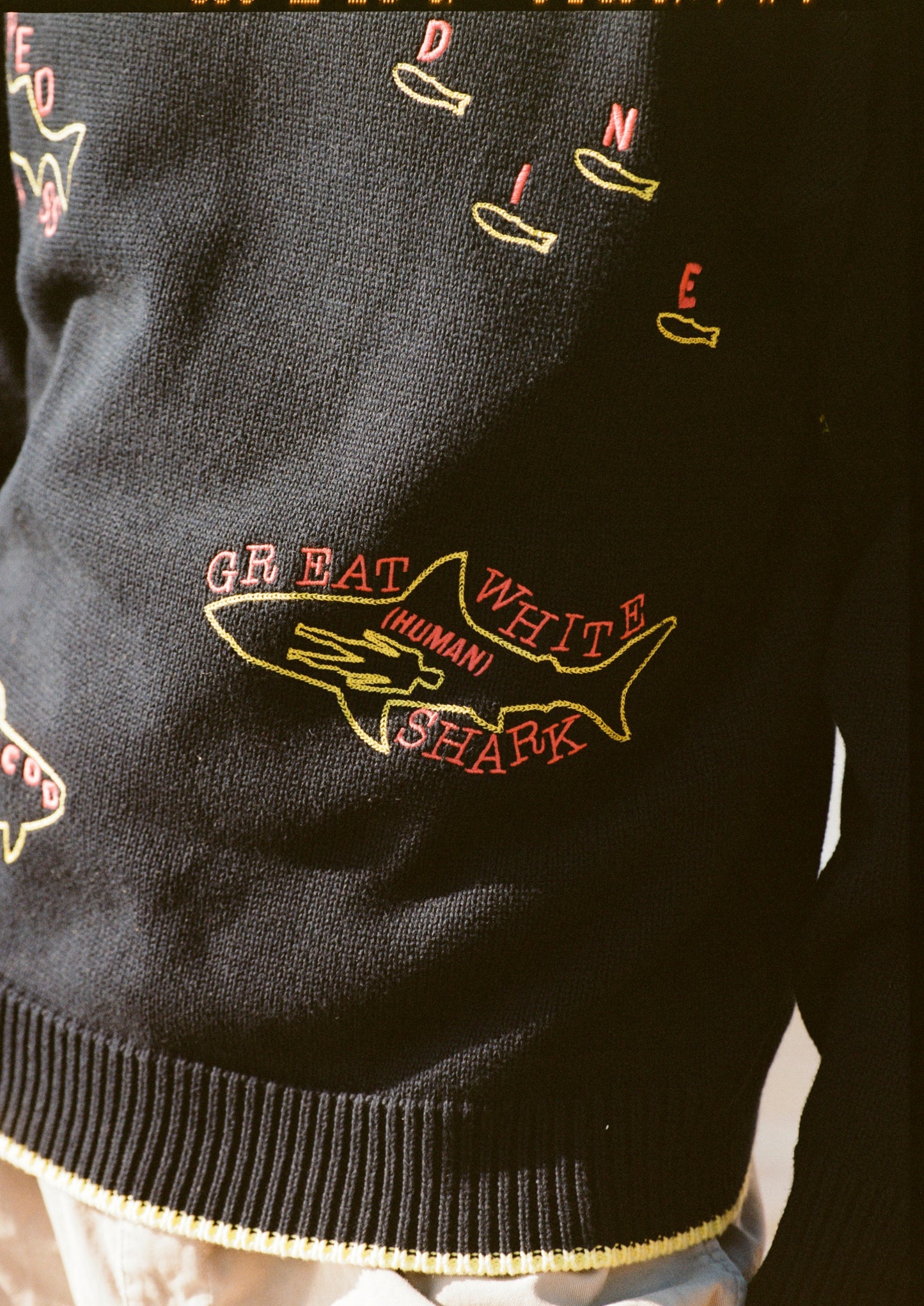 Customizable 'Fishes of the North Atlantic' Sweater