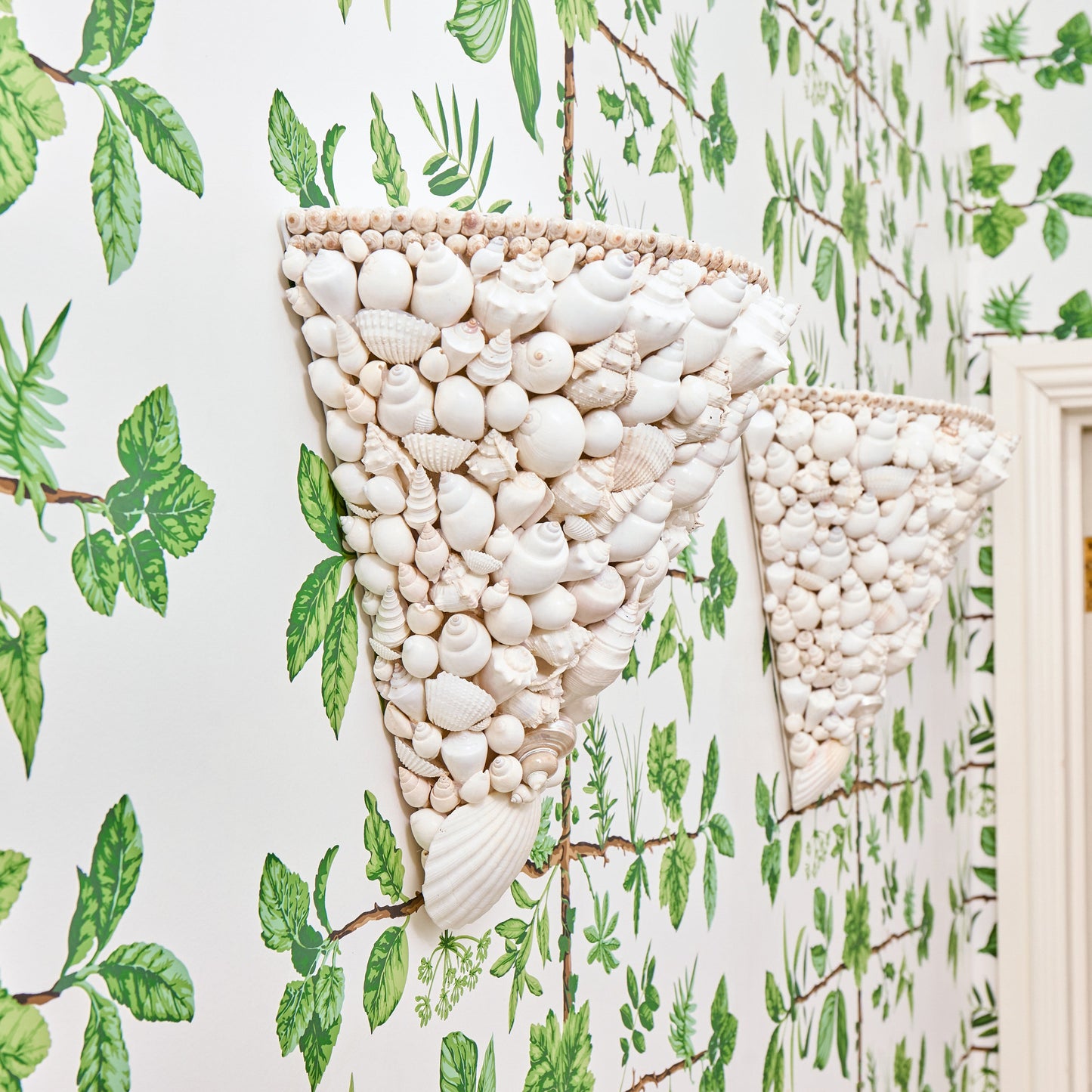 Shell Sconce
