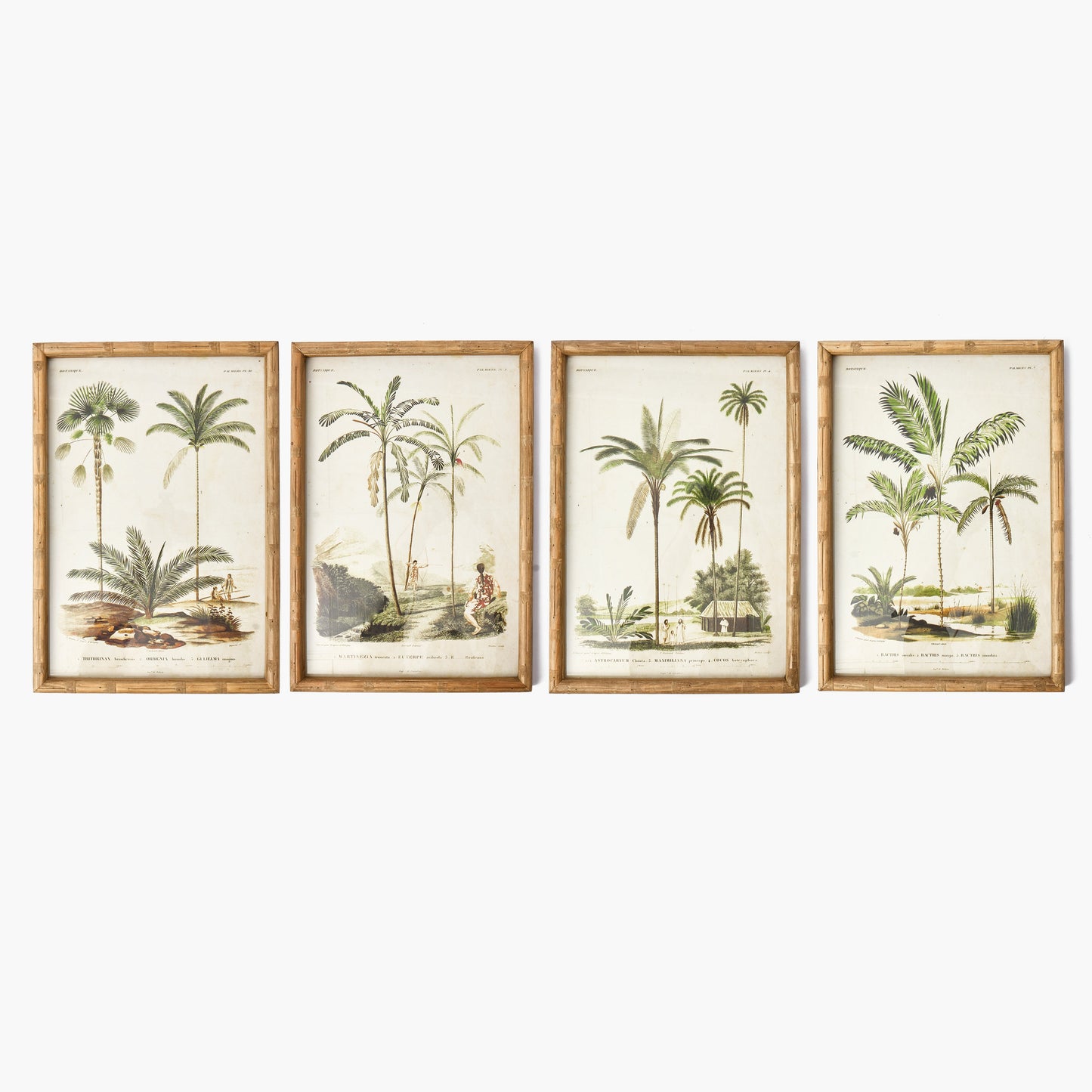Palm Tree Bamboo Framed Wall Art (Set of 4)