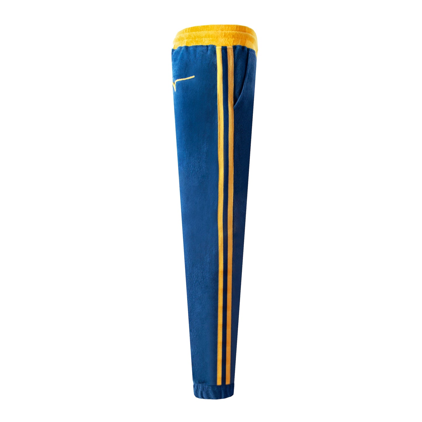 'Big Cat on Campus' Pants