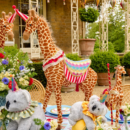 Circus Party Decoration Set