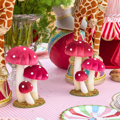 Red Spotted Mushroom Family
