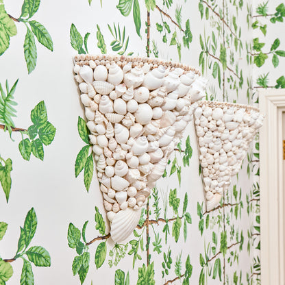 Shell Sconce