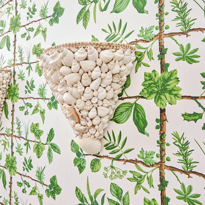 Shell Sconce