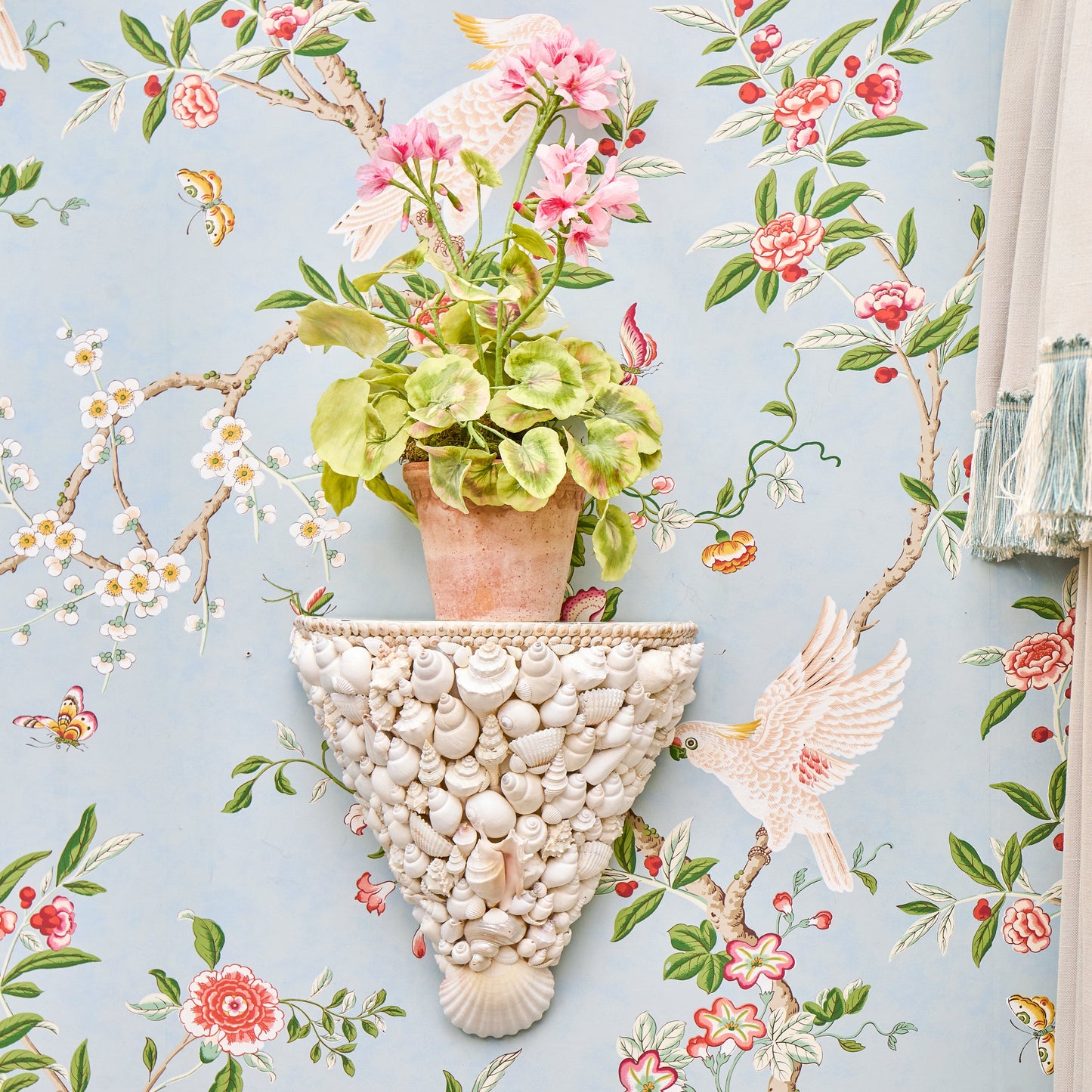 Shell Sconce
