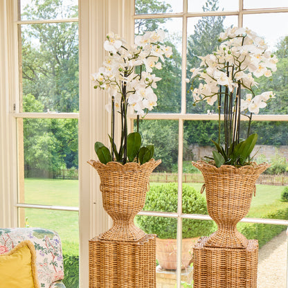 Liliana Scalloped Rattan Urn