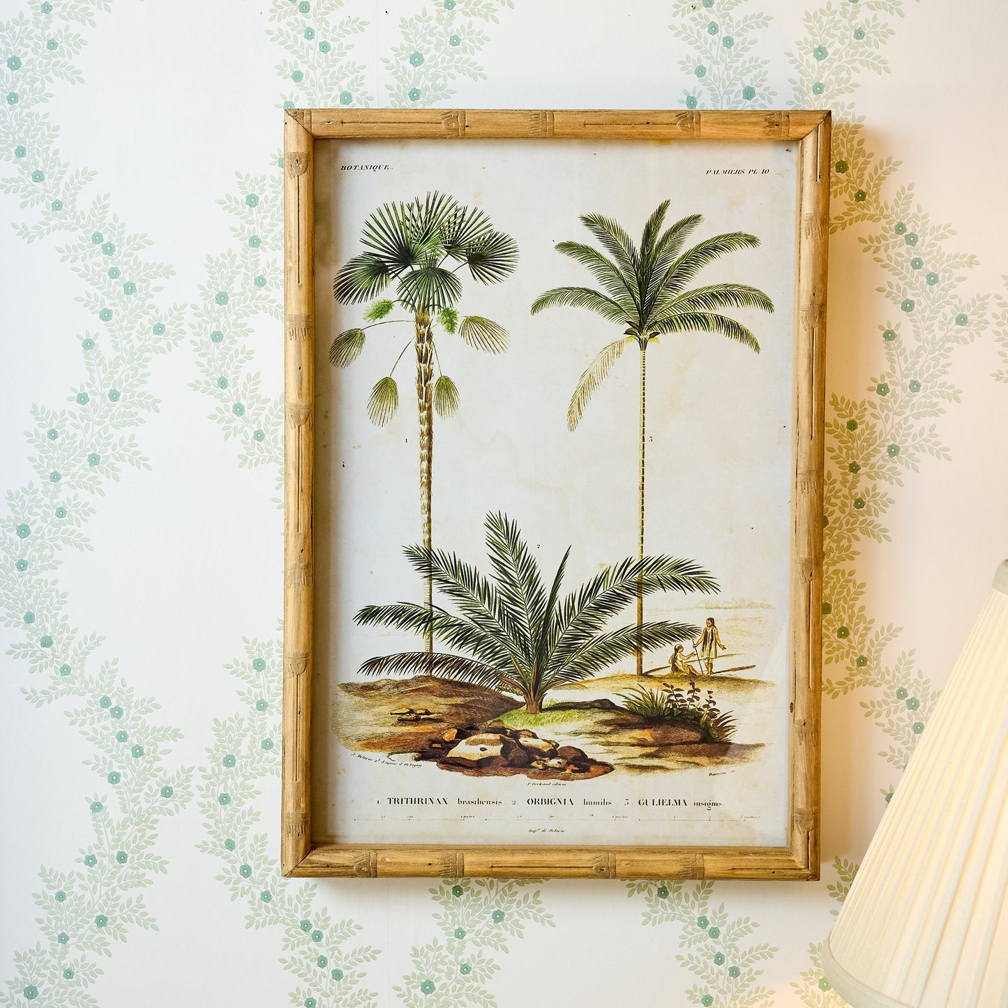Palm Tree Bamboo Framed Wall Art (Set of 4)