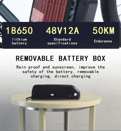 Ebike AKEZ 1000W CityElectricBike Detachable 13Ah Battery Electric Bike 60 Mile Range Dual Disc Brake Alloy Electric Bike