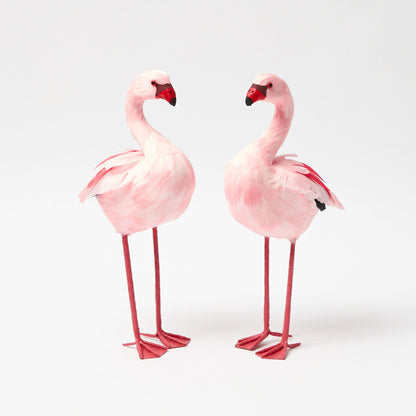 Faye Flamingo Family