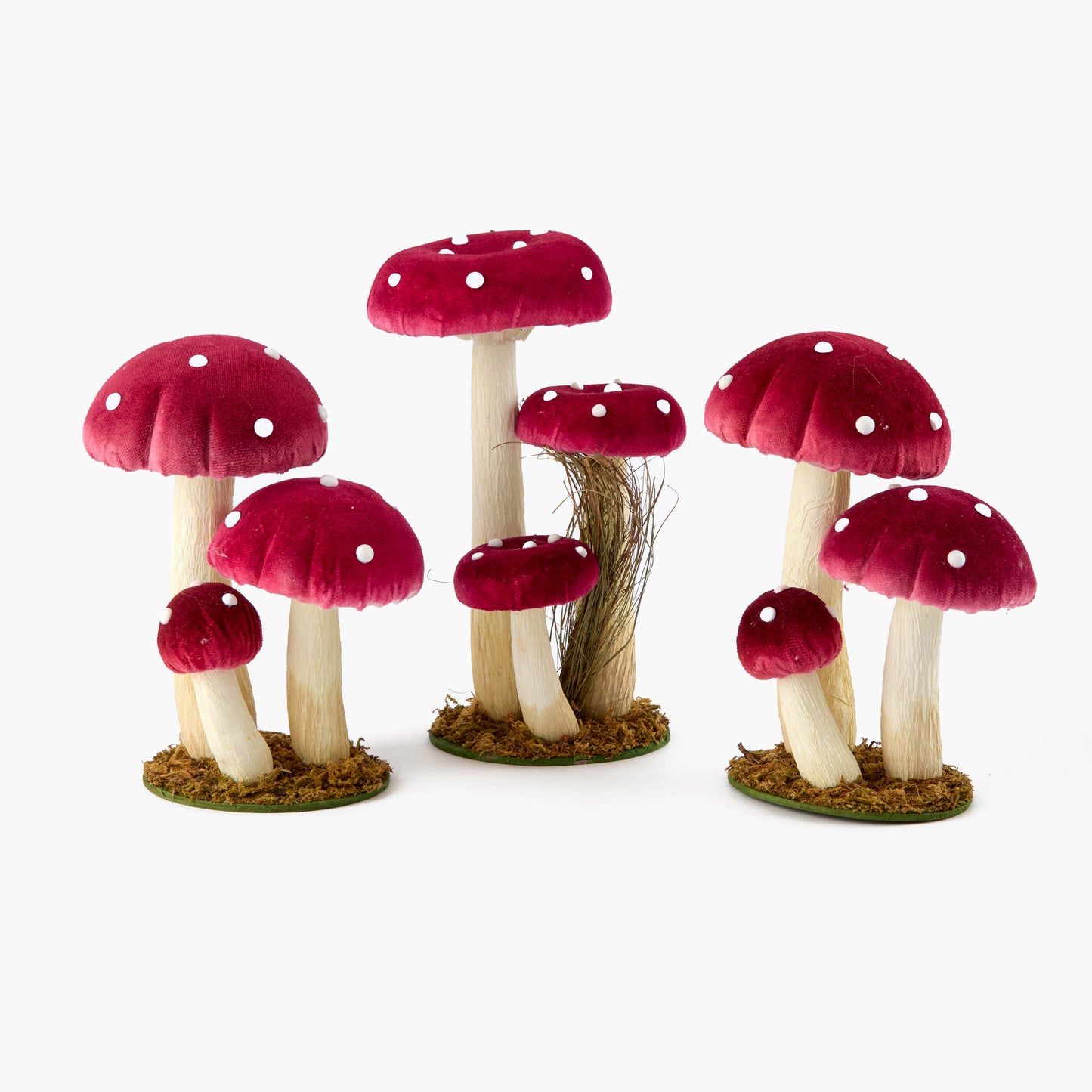Red Spotted Mushroom Family