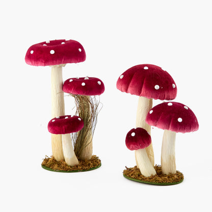 Red Spotted Mushroom Family