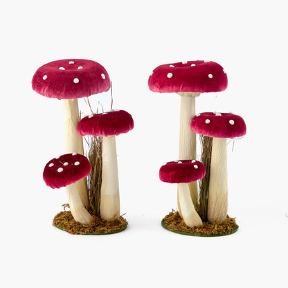 Red Spotted Mushroom Family