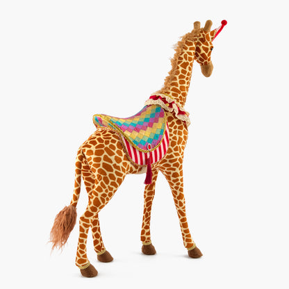 Circus Party Decoration Set