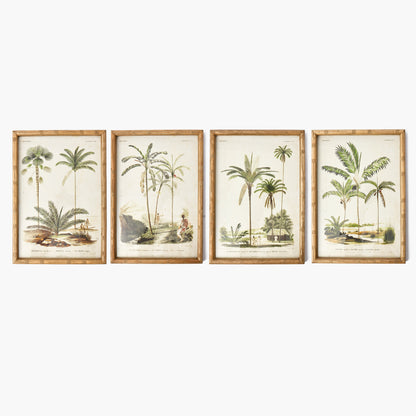 Palm Tree Bamboo Framed Wall Art (Set of 4)