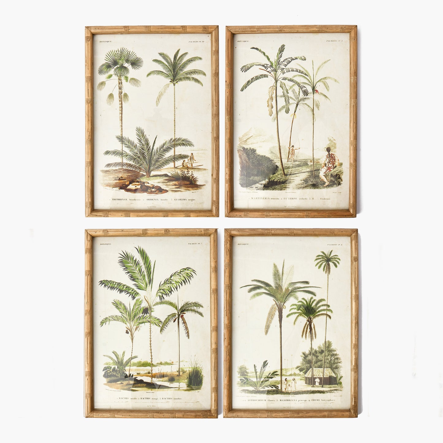 Palm Tree Bamboo Framed Wall Art (Set of 4)