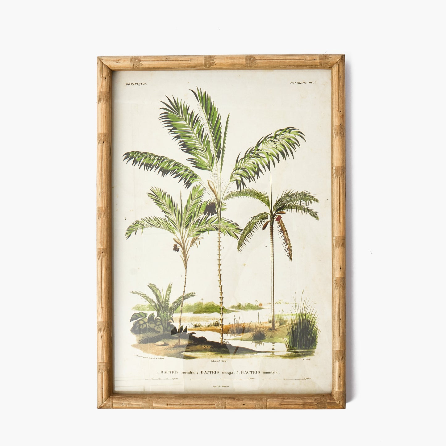 Palm Tree Bamboo Framed Wall Art (Set of 4)