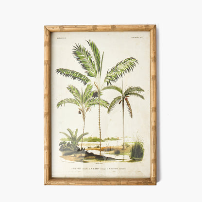 Palm Tree Bamboo Framed Wall Art (Set of 4)