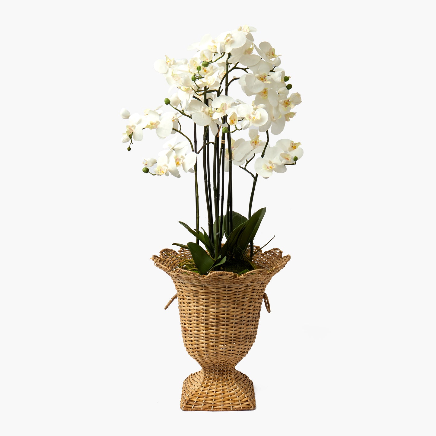 Liliana Scalloped Rattan Urn & Faux Orchid