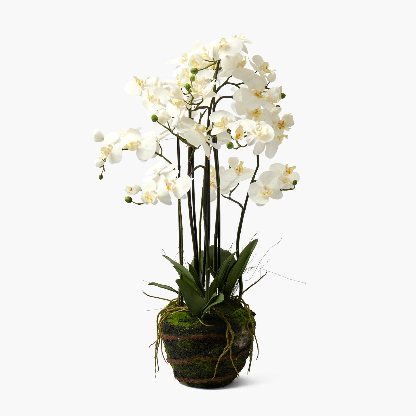 Liliana Scalloped Rattan Urn & Faux Orchid