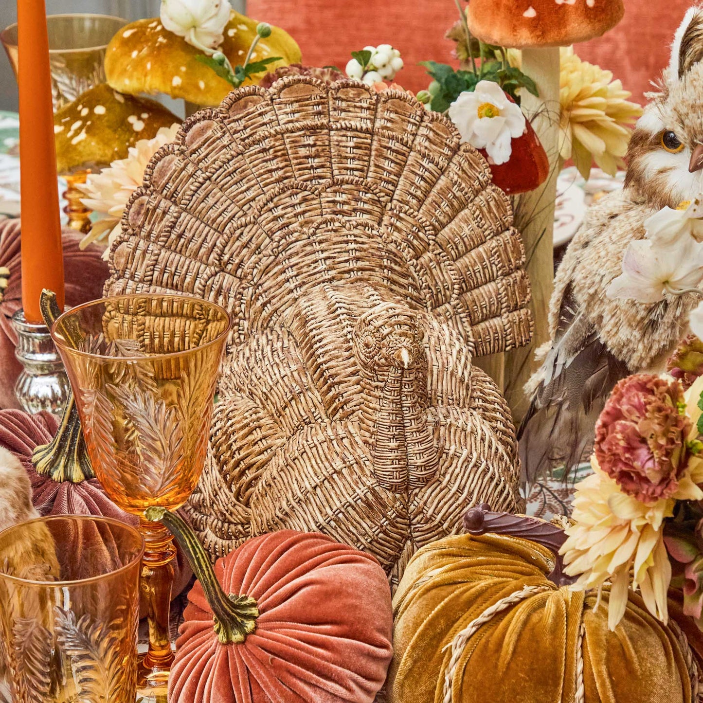 Tom the Turkey