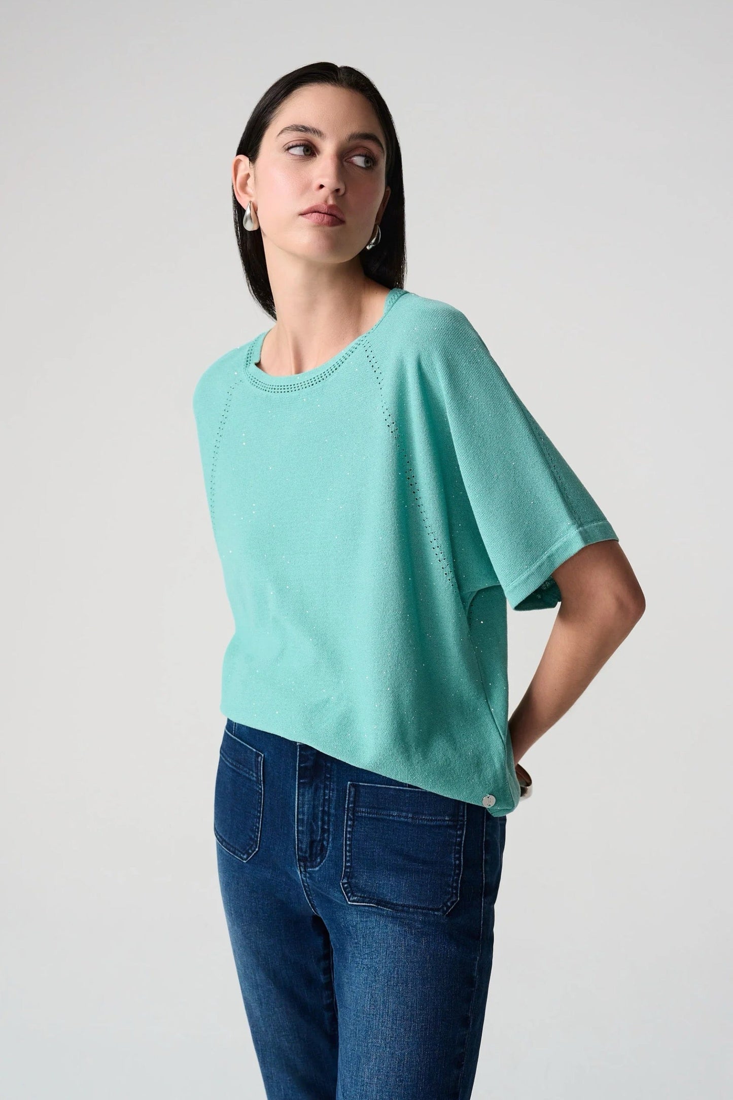 Joseph Ribkoff Sequined Raglan Sleeve Sweater Top 261917
