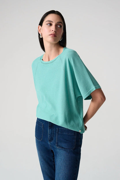 Joseph Ribkoff Sequined Raglan Sleeve Sweater Top 261917