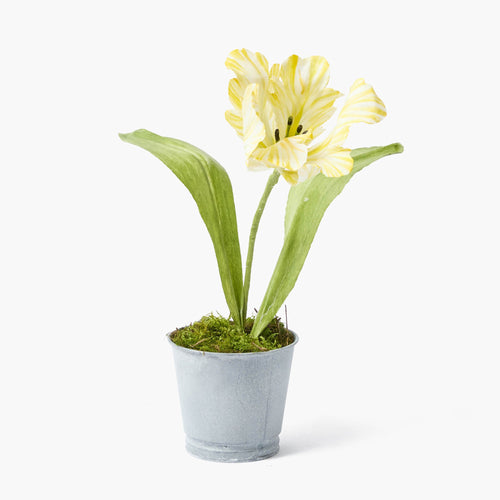 Mrs. Alice Handpainted Yellow Tulip