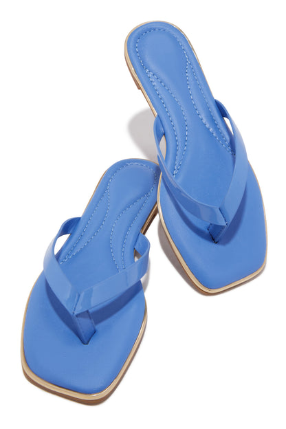 Lani Thong Sandals - Blue