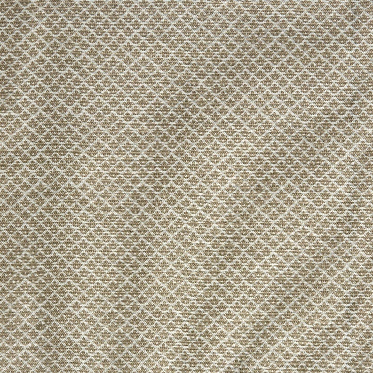 Putty Lotus Flower Fabric
