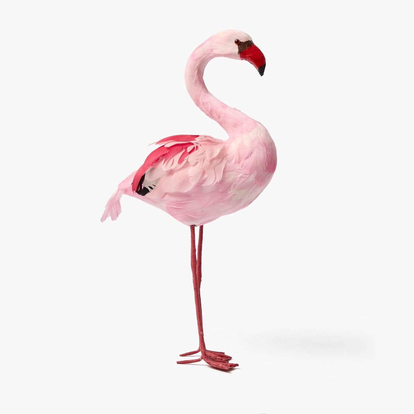 Faye Flamingo Family