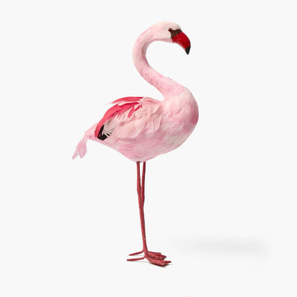 Faye Flamingo Family