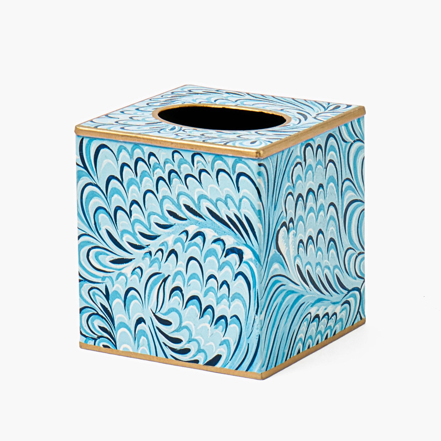 Blue Marble Tissue Box