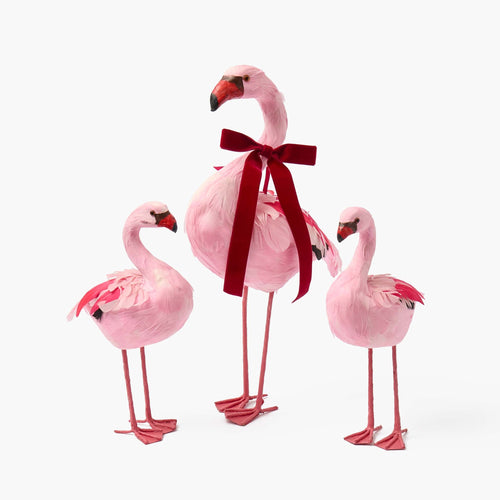 Faye Flamingo Family