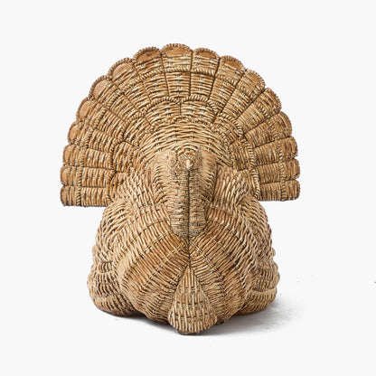 Tom the Turkey